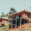Little Mango Lovely Homestay
