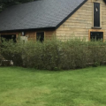 Log Cabin