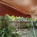 Maerim Country Home Resort