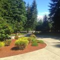 Maple View Bed and Breakfast