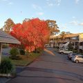 Molly Morgan Motor Inn