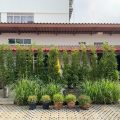 Napa Hostel Samrong Station