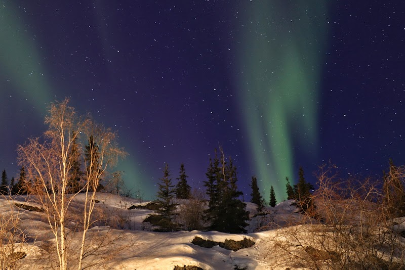 Narwal B&B in Yellowknife, Canada