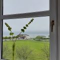 Neptune’s Rest Guest House