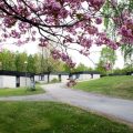 Nordiska Folkhögskolan