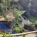 Orca View Cottage