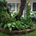 Palms Courtyard Inn