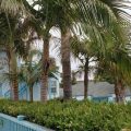 Palomar Inn