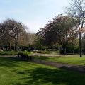 Park House