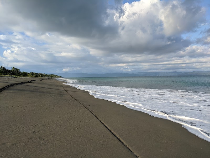 Playa Preciosa Lodge in Puerto Jimenez, Costa Rica