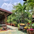 Pop Guesthouse