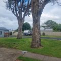 Portland Holiday Village