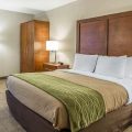 Quality Inn Summerville