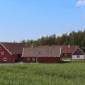 Red Bird Farm