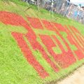 Red Bud Motorcross