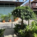 Rimklong Boutique Hotel