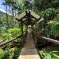 Rios Tropicales Lodge