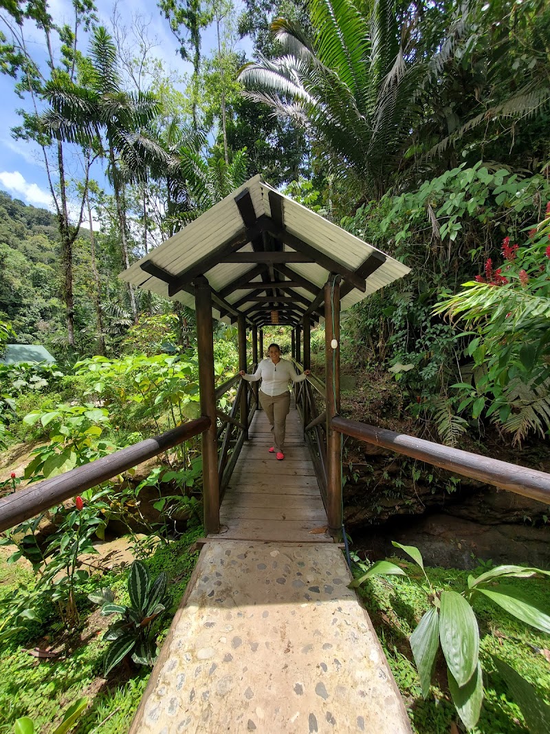 Rios Tropicales Lodge in Siquirres, Costa Rica
