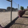 Rivergum Motel