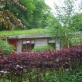 Rosehill Bed & Breakfast