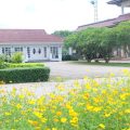 Royal Princess City Lamphun
