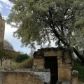 Rural House Los Tulipanes