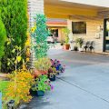 Sapphire City Motor Inn