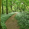Sea Wood Bed and Breakfast