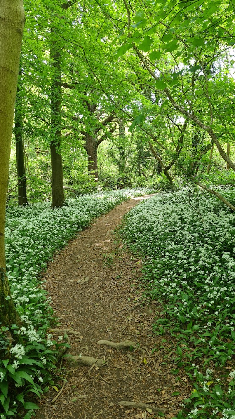 Sea Wood Bed and Breakfast in Ulverston, United Kingdom