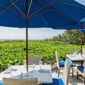 Seagate Beach Club