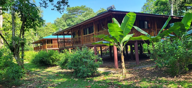 Selva Verde Lodge & Rainforest Reserve in Horquetas, Costa Rica