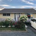 Shady Willow Guest House