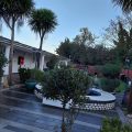 Skylark Guest House