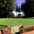 Skywood Manor