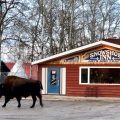 Snowshoe Inn