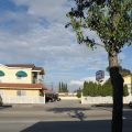 Southern Motel