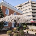 Stamford Suites