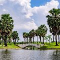 Suwan Golf & Country Club