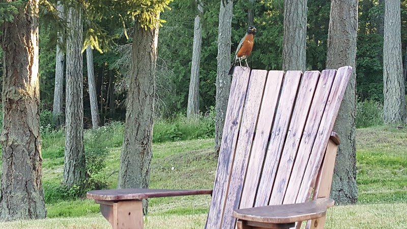 Swartz Bay Farm in Sidney, Canada