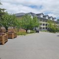 Taboo Muskoka