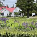 Tara Manor Inn