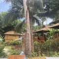 Ten Moons Lipe Resort