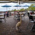 The Bayport Inn