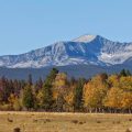 The Beaverhead House