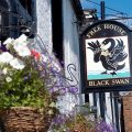 The Black Swan
