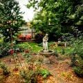 The Blue Spruce