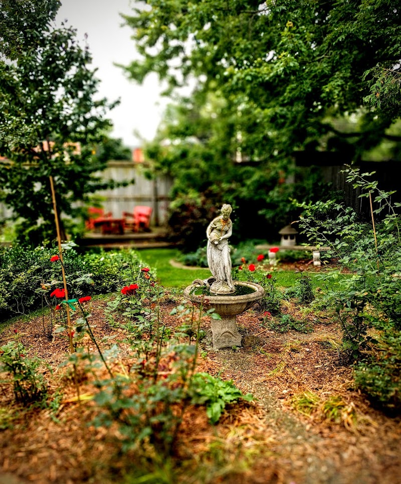 The Blue Spruce in Stratford, Canada