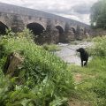 The Bridge Inn