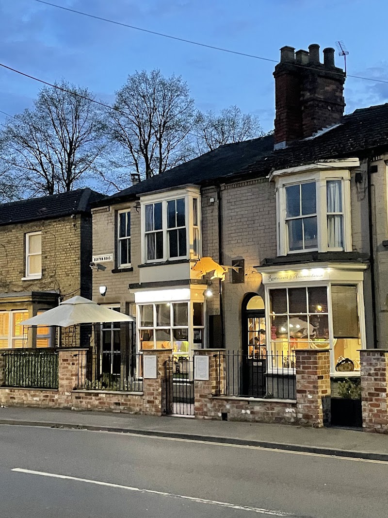 The Bronze Pig in Lincoln, United Kingdom