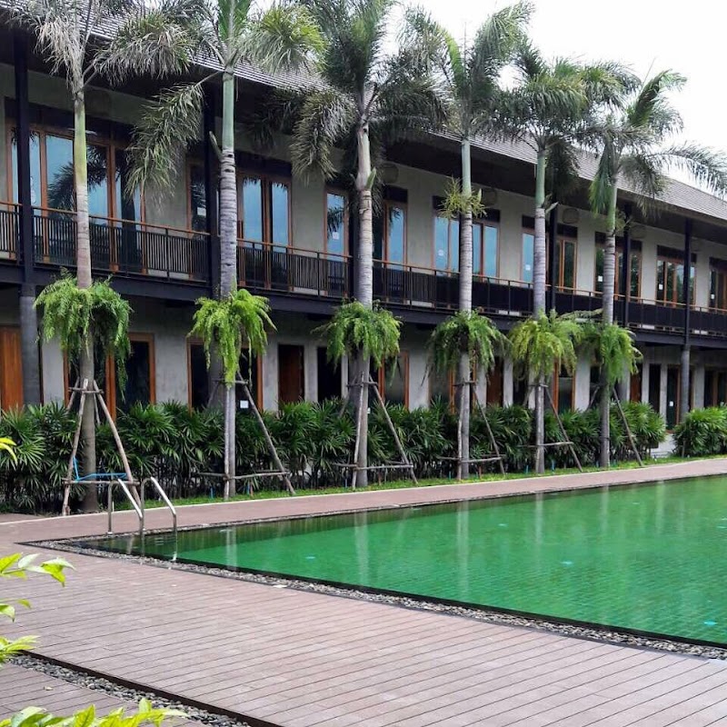 The Buffalo Amphawa in Samut Songkhram, Thailand
